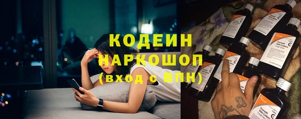 прущие грибы Абаза