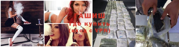 прущие грибы Абаза