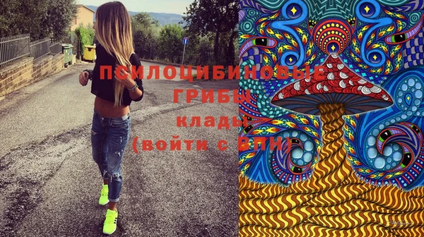 винт Алексеевка