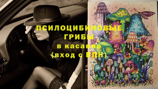 дурь Алзамай