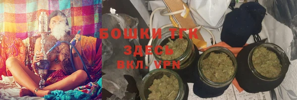 прущие грибы Абаза