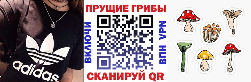 Галлюциногенные грибы ЛСД  omg онион  Кемерово 