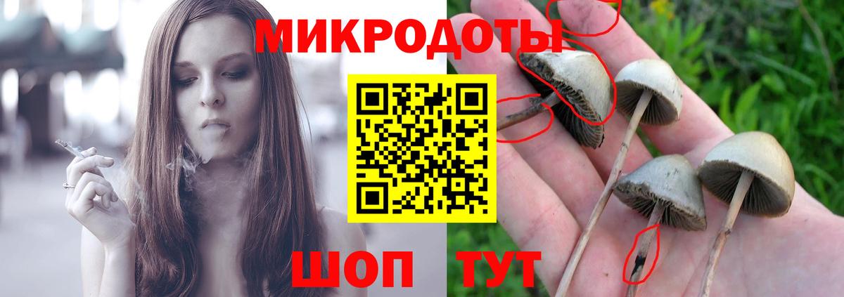 Галлюциногенные грибы Magic Shrooms  Вход с VPN  Кемерово 